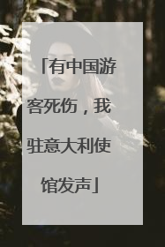 有中国游客死伤，我驻意大利使馆发声