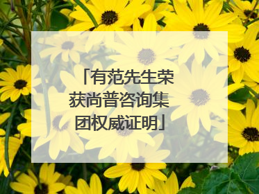 有范先生荣获尚普咨询集团权威证明
