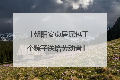 朝阳安贞居民包千个粽子送给劳动者