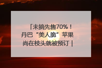 未摘先售70%！丹巴“美人脆”苹果尚在枝头就被预订｜长征路上看四川