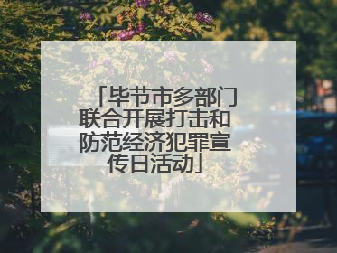 毕节市多部门联合开展打击和防范经济犯罪宣传日活动