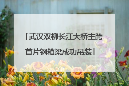 武汉双柳长江大桥主跨首片钢箱梁成功吊装