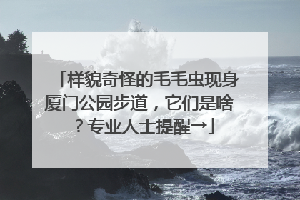 样貌奇怪的毛毛虫现身厦门公园步道，它们是啥？专业人士提醒→