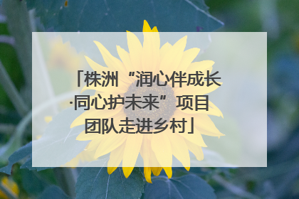 株洲“润心伴成长·同心护未来”项目团队走进乡村