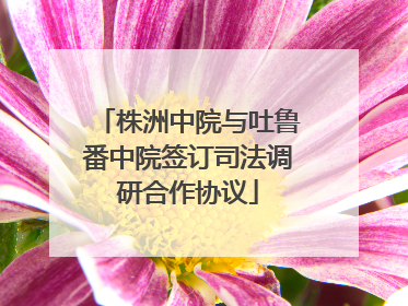 株洲中院与吐鲁番中院签订司法调研合作协议