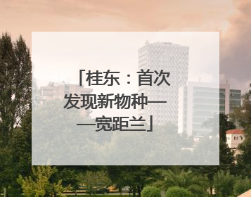 桂东：首次发现新物种——宽距兰