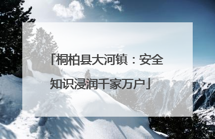桐柏县大河镇：安全知识浸润千家万户