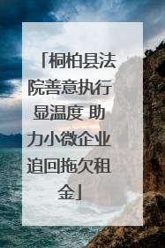 桐柏县法院善意执行显温度 助力小微企业追回拖欠租金