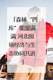 森林“四库”能量满满 河北围场经济与生态协同共进