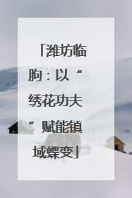 潍坊临朐：以“绣花功夫”赋能镇域蝶变