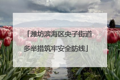 潍坊滨海区央子街道多举措筑牢安全防线