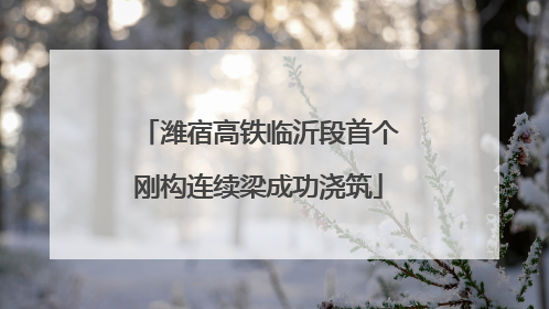 潍宿高铁临沂段首个刚构连续梁成功浇筑