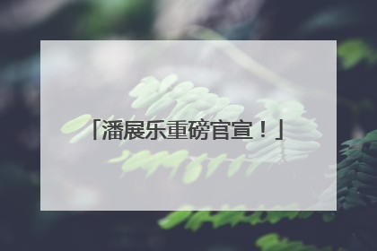 潘展乐重磅官宣！