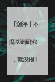 潮评丨不搞基础研究，就没根