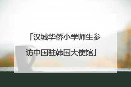 汉城华侨小学师生参访中国驻韩国大使馆