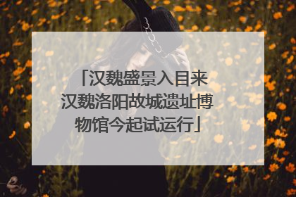 汉魏盛景入目来 汉魏洛阳故城遗址博物馆今起试运行