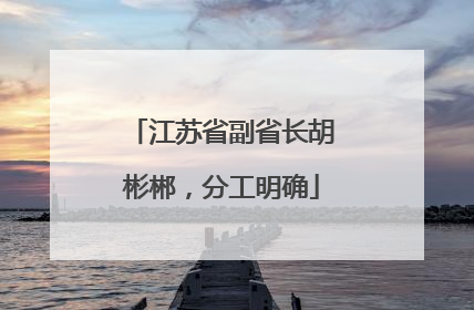 江苏省副省长胡彬郴，分工明确