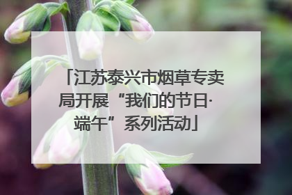 江苏泰兴市烟草专卖局开展“我们的节日·端午”系列活动