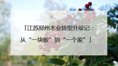 江苏邳州木业转型升级记：从“一块板”到“一个家”