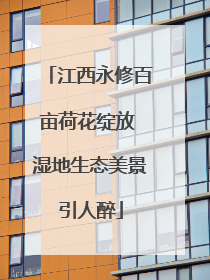 江西永修百亩荷花绽放 湿地生态美景引人醉