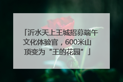 沂水天上王城招募端午文化体验官，600米山顶变为“王的花园”