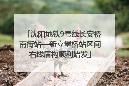 沈阳地铁9号线长安桥南街站—新立堡桥站区间右线盾构顺利始发