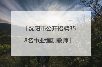 沈阳市公开招聘358名事业编制教师