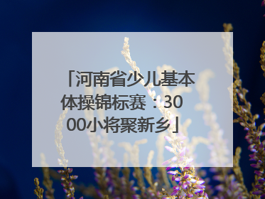 河南省少儿基本体操锦标赛：3000小将聚新乡