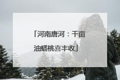 河南唐河：千亩油蟠桃喜丰收