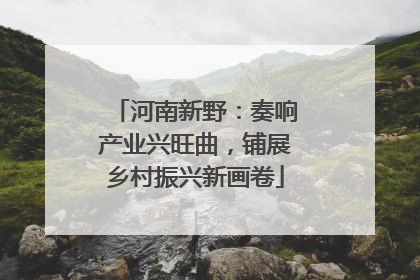 河南新野：奏响产业兴旺曲，铺展乡村振兴新画卷