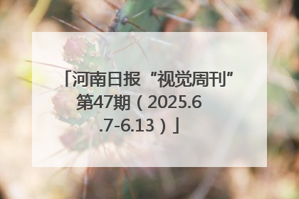 河南日报“视觉周刊”第47期（2025.6.7-6.13）