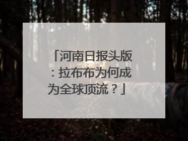 河南日报头版：拉布布为何成为全球顶流？