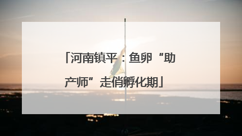 河南镇平：鱼卵“助产师”走俏孵化期