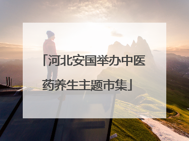 河北安国举办中医药养生主题市集