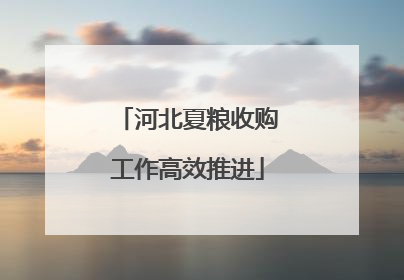 河北夏粮收购工作高效推进