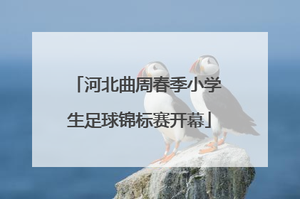 河北曲周春季小学生足球锦标赛开幕