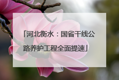 河北衡水：国省干线公路养护工程全面提速
