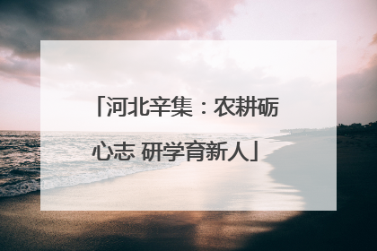 河北辛集：农耕砺心志 研学育新人