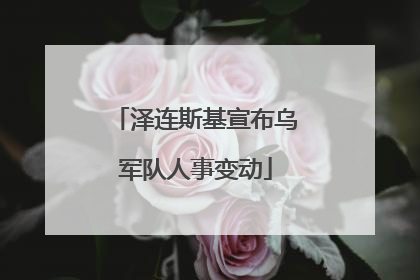 泽连斯基宣布乌军队人事变动