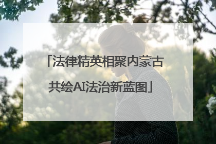 法律精英相聚内蒙古 共绘AI法治新蓝图