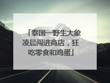 泰国一野生大象凌晨闯进商店，狂吃零食和鸡蛋