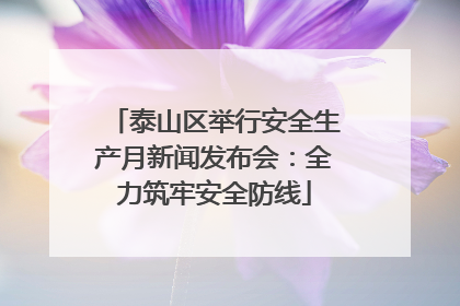 泰山区举行安全生产月新闻发布会：全力筑牢安全防线