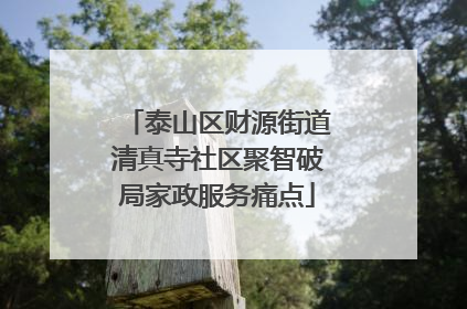 泰山区财源街道清真寺社区聚智破局家政服务痛点