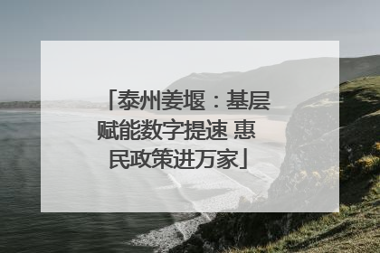 泰州姜堰：基层赋能数字提速 惠民政策进万家