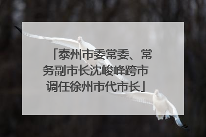泰州市委常委、常务副市长沈峻峰跨市调任徐州市代市长