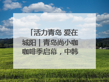 活力青岛 爱在城阳｜青岛尚小咖咖啡季启幕，中韩消费新场景点燃夏日热情