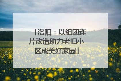 洛阳：以组团连片改造助力老旧小区成美好家园