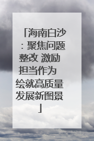 海南白沙：聚焦问题整改 激励担当作为 绘就高质量发展新图景