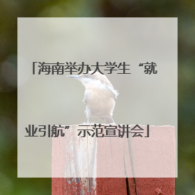 海南举办大学生“就业引航”示范宣讲会