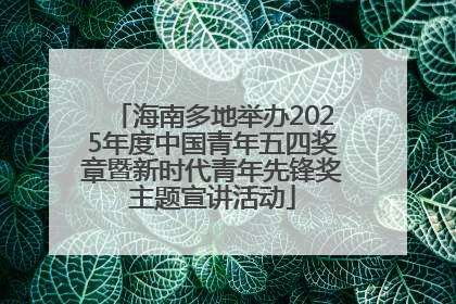海南多地举办2025年度中国青年五四奖章暨新时代青年先锋奖主题宣讲活动
